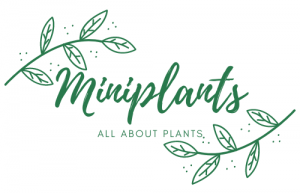 Miniplants